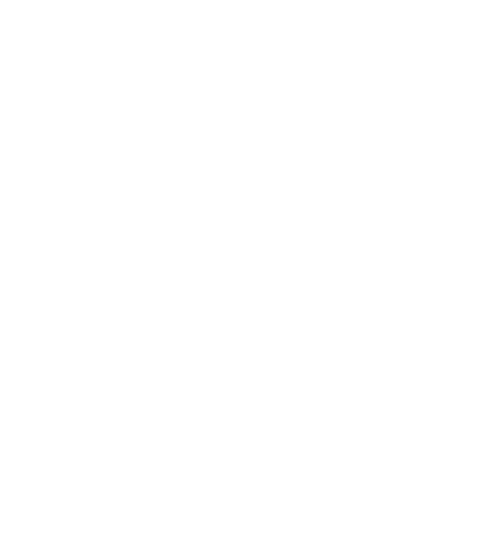 Brazilian Barbecue Catering